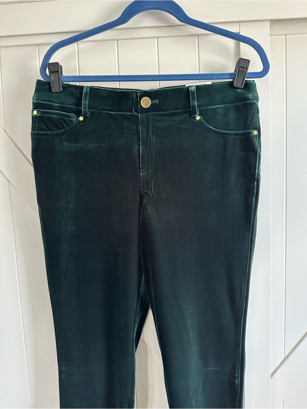 INC International Concepts Hunter Green Velvet Skinny Pants Size 14 NWT - Picture 2 of 7